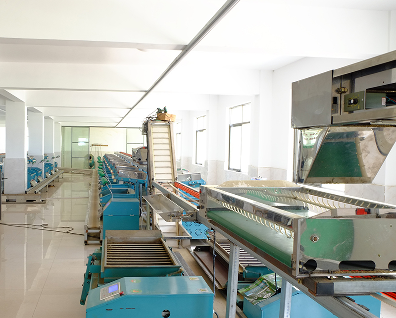 扁形茶自動加工生產線生產側面2 扁形茶自動加工生產線生產側面2